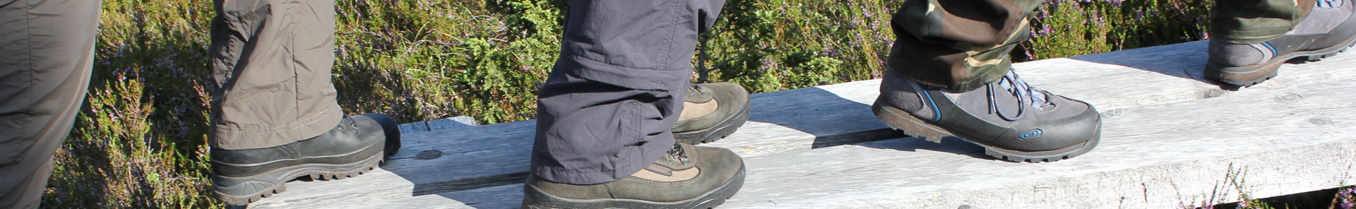 ratkaisukeskeinen työnohjaus