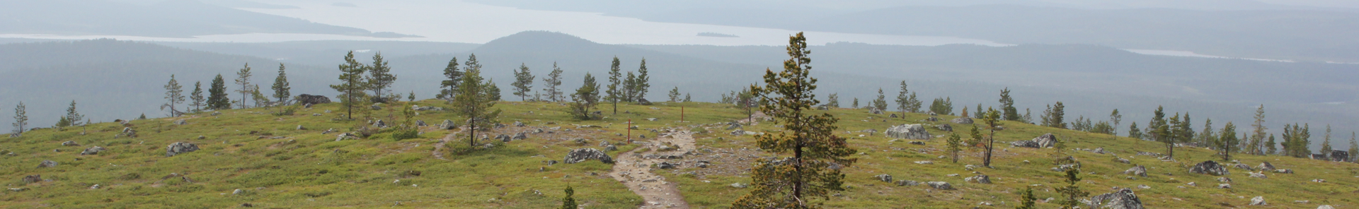 ratkaisukeskeinen työnohjaus